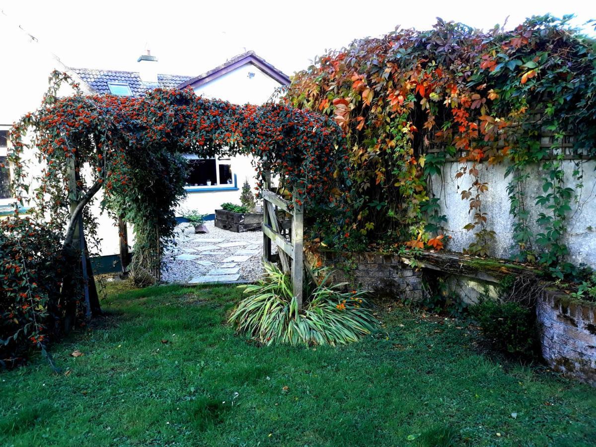 Country Home Tara Rathfeigh Zewnętrze zdjęcie
